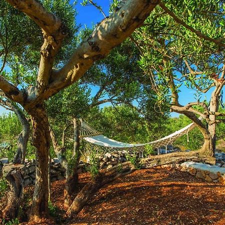 Luxury Villa Vela Rina Mali Drvenik Esterno foto